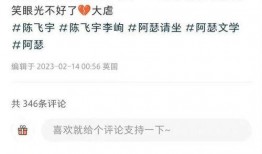 陈飞宇爆料后续视频,揭秘事件真相与幕后故事